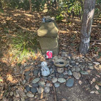 お邪魔してます🙏