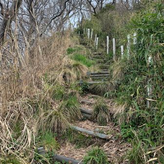 地味にキツい階段💦