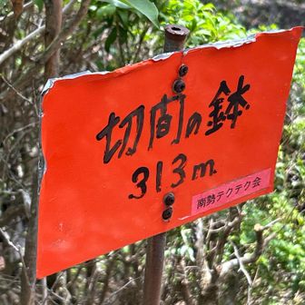 山頂…着いた👣