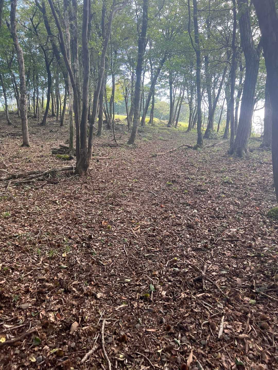 向こうに山頂です