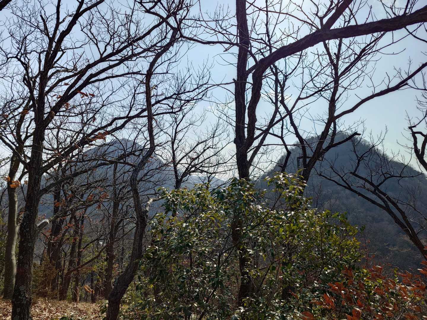 六つ目山とさっき登った伽藍山