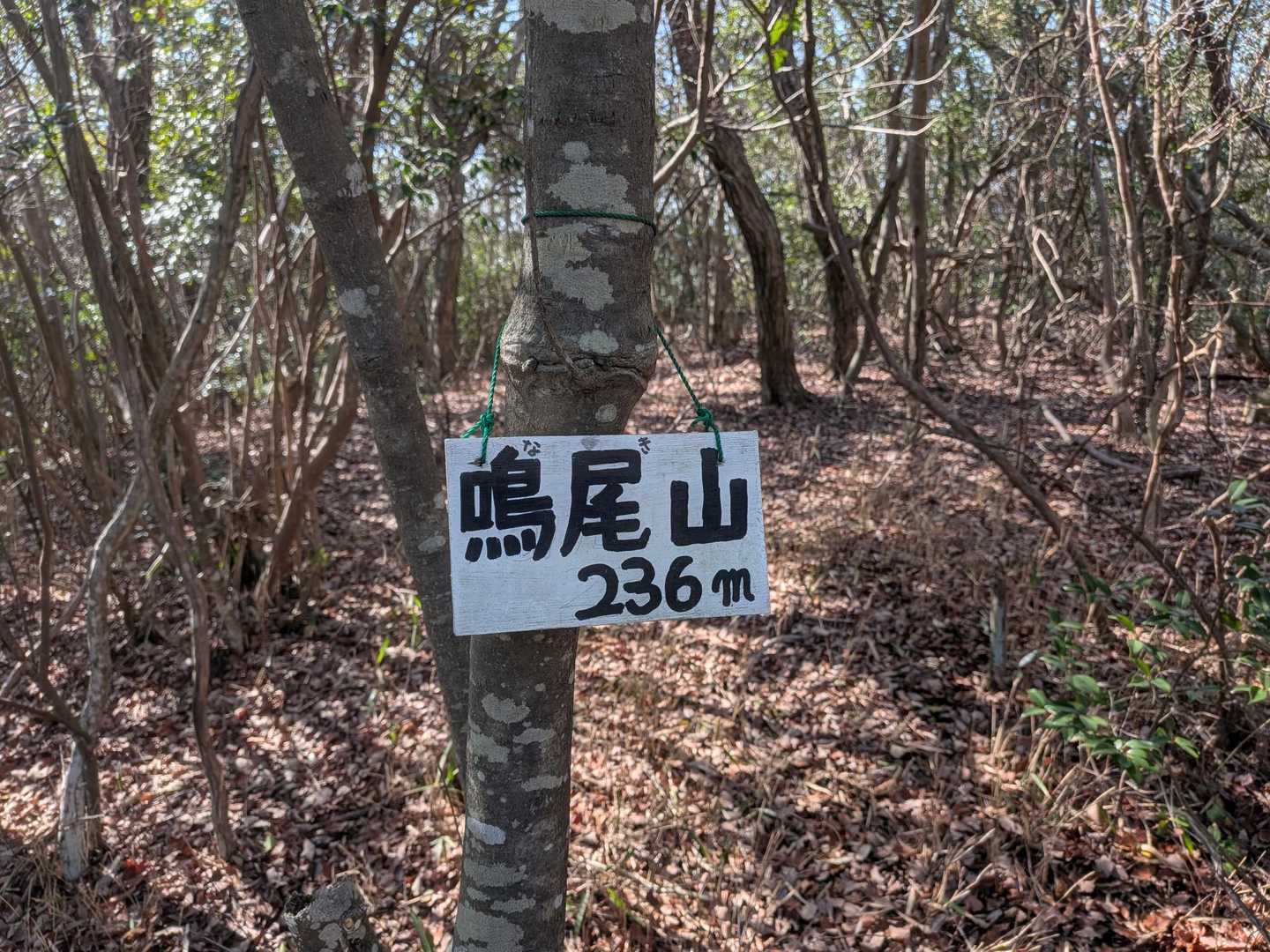 五峰山登り口-五峰山-第2ピーク-角尾山-引尾山-奥の谷コ 縦走コースの写真