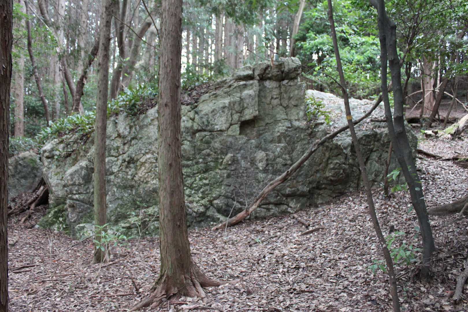 竜の爪岩