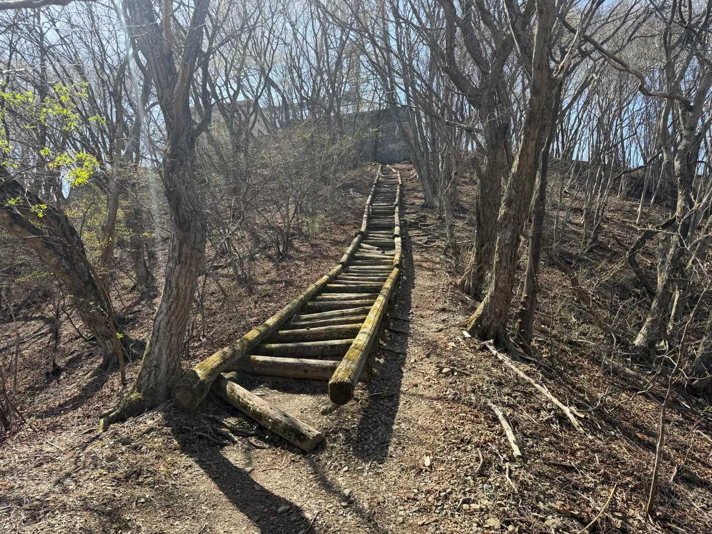 比企三山 周回コースの写真