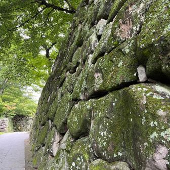 ここの石垣は渋い。