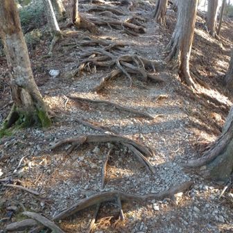 足の踏み場が…　　盛り上がってまいりました。