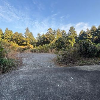 金山登山道の前に車数台停められる駐車場🅿️があります。