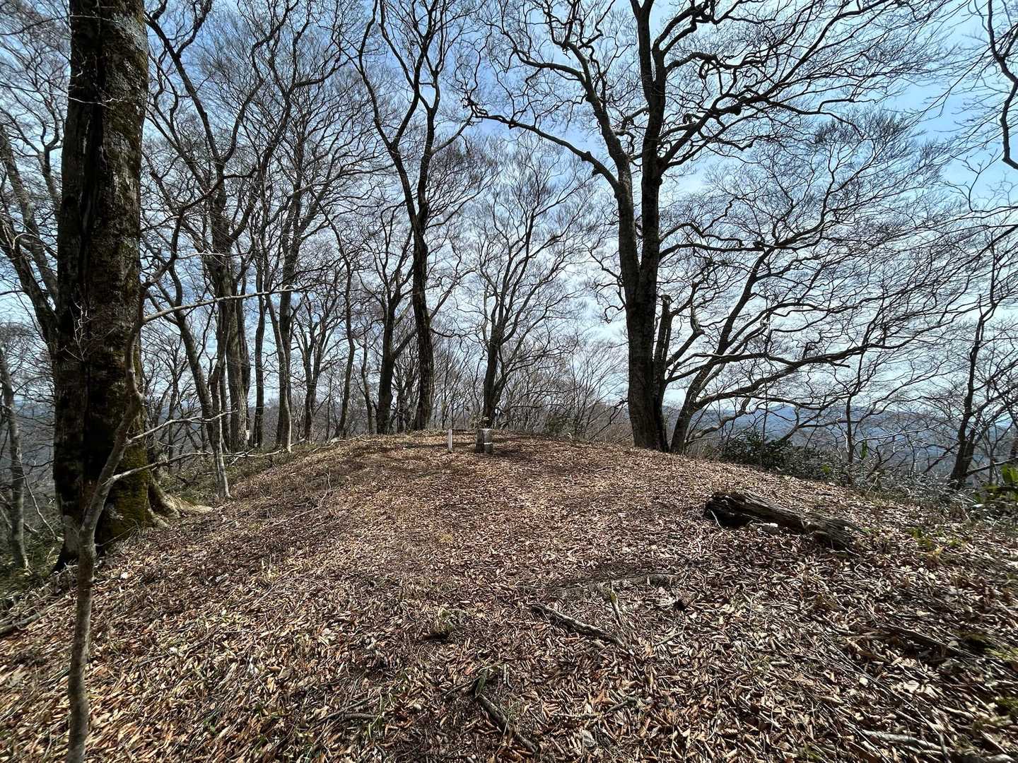 女亀山 往復コースの写真