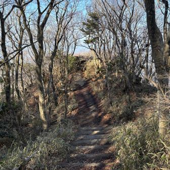 こちら研究路。研究路の見晴らしスポッツにも立ち寄りましょう😊
