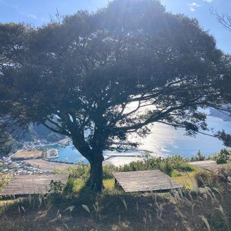 ブランコなくなったんやね。
あと6分で「うさぎ亭」の昼の営業は終わりやな。今日はあきらめよう🐟


今日も楽しいお山をありがとうございました。