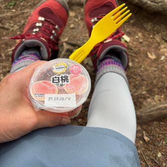 今年になって初の滝汗をかきましたι(´Д｀υ)ｱﾂｨｰ💦  前夜にいろいろご用意したのに、ゼリーにスプーン🥄をお忘れで､､､※購入してずっと冷凍庫だったので賞味期限は大丈夫でしょっ？( ´罒`*)ｻﾞｯﾊﾟだー