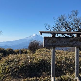 丹沢山山頂からの富士山