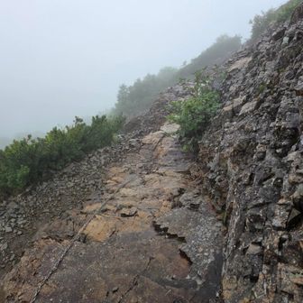 東ギボシ下の岩場

写真では伝わらないですが
けっこうな斜面を降りるルート

雨でツルツル
滑ったら数十メートル落下😰