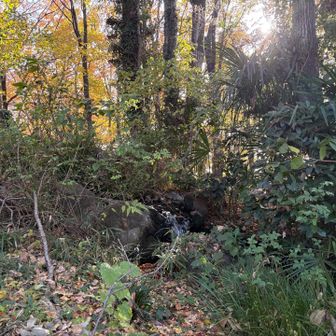 ほたるの里
ここから勢いよく水が流れてました