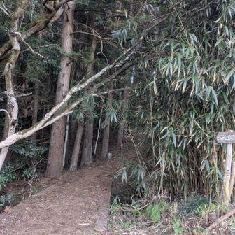 やっと登山開始