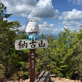 ノコリン