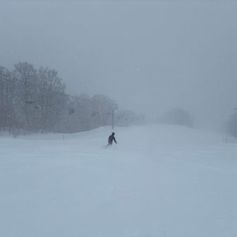 パウダーをガンガン攻めていきます⛷️