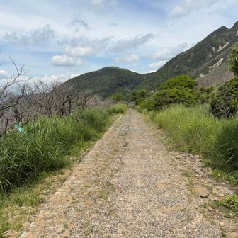 体力的に土と石の登山道を歩く余裕がなく、お手軽大回りの舗装路を💦