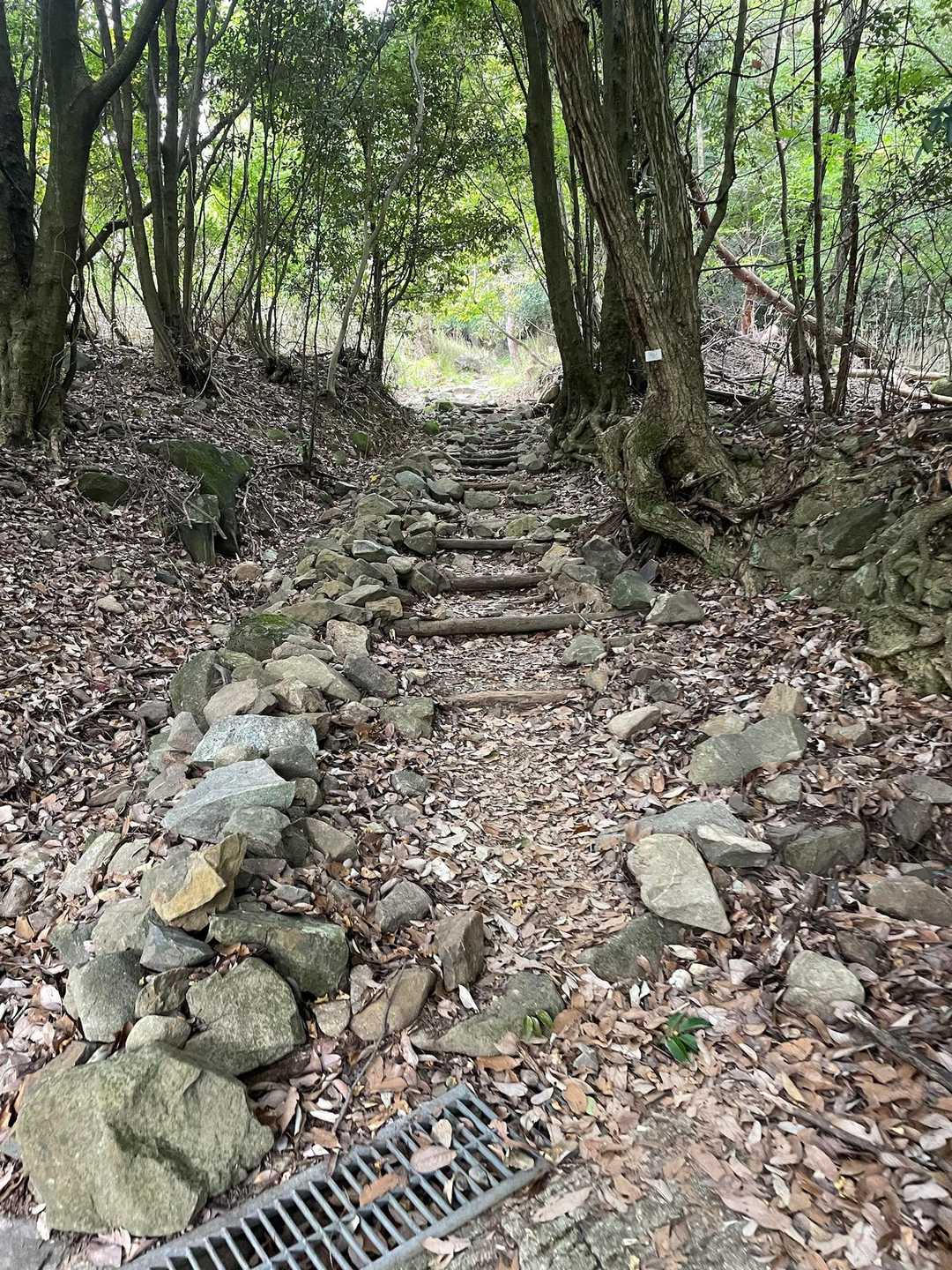 住宅街歩いて、こちらから登っていきます