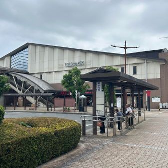 ゴール👣
神奈中バスに抜かれませんでした、勝利🏅
今日はウエストバッグだけなので楽チンでした🥳降りもまあまあ上手く歩けましたし🆗
駒止まで上がってたら相当、膝は痛くなったんじゃないかな？
少しづつ標高を上げて負荷をかけていくのが妥当でしょうね🙂‍↕️

高尾山登頂を目標にしてる方は見晴茶屋で身体を慣らしてから行くのもいいかもです💘

早く帰ってダルバートを作らねば🍛
