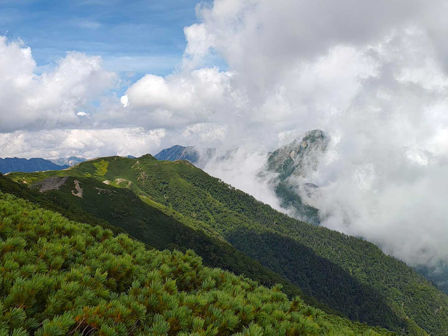 お腹も満たされたので、名残惜しいけど 下山です。

下山道から常念岳を振り返ると、雲に覆われていました。
