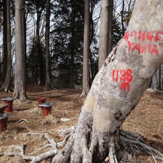 ブナに赤ペンキ直書きの
「GONGEN  YAMA」
こういうのもアリかもしれないが
せめて緑色のペンキにして欲しかった