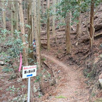 里山トレッキングコースからは想像できないほどの急登がお待ちしてます