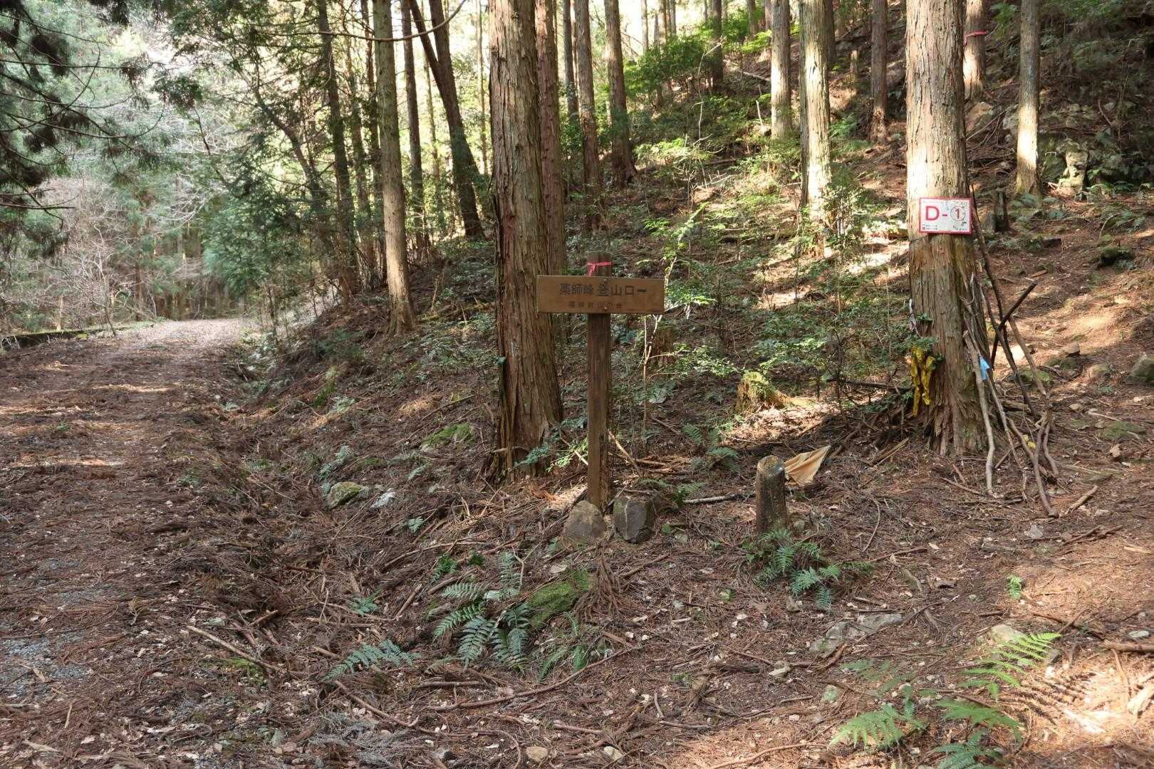 そしてここから登山道↗️