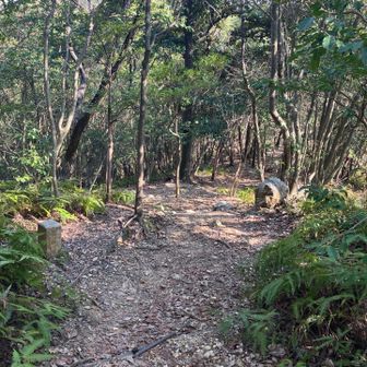 快調に下っていきます。