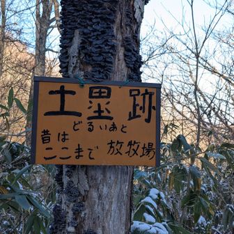 手作り看板がいい味出してる