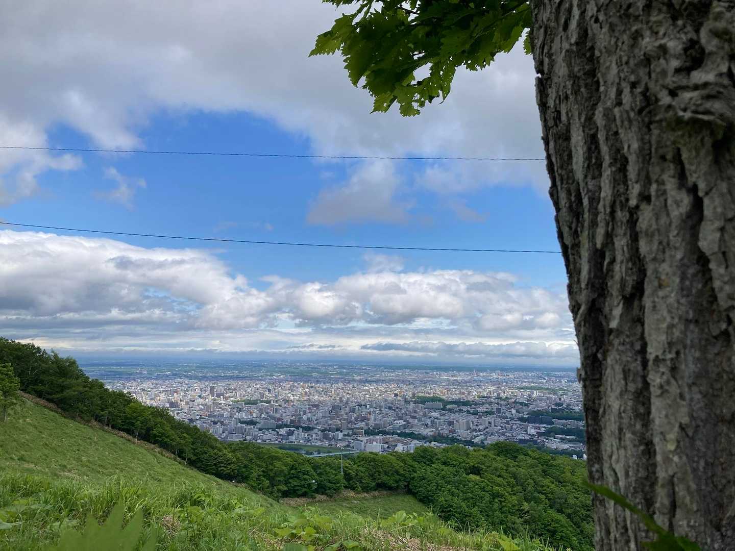 　　この木はいつも、こんな眺めを見ているんだよね‼️