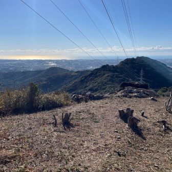 初日の出はどのあたりからでるのかな?
たぶん見にいけませんが