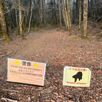 スタート🐻
えっ？富士山に🐻？