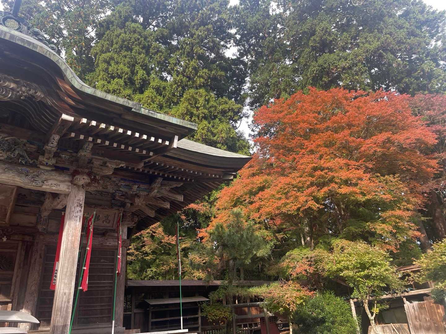 本堂の横の紅葉は綺麗でした🍁