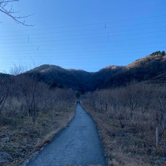 子供たちが学校に行くのを見届けてから勝原へ。
遅めのスタート。