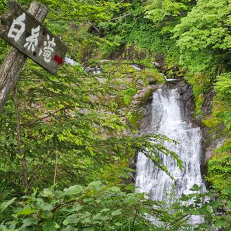 下山後は濁河温泉で疲れを癒してきました
原生林に囲まれた露天風呂はサイコーでした♨️

ありがとうございました♡