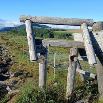 控えめな山頂標識