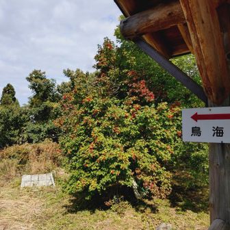 見える気がしない