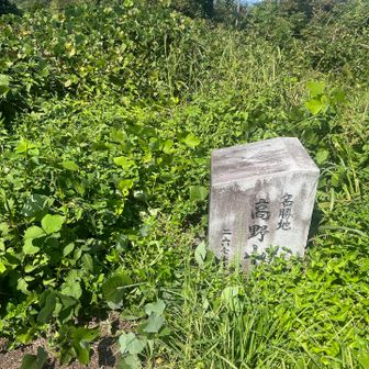 高野山山頂⛰️
この登りで5回ほど座り込んでしまった…