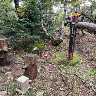 弁天の森　３００座目になりました🥳
