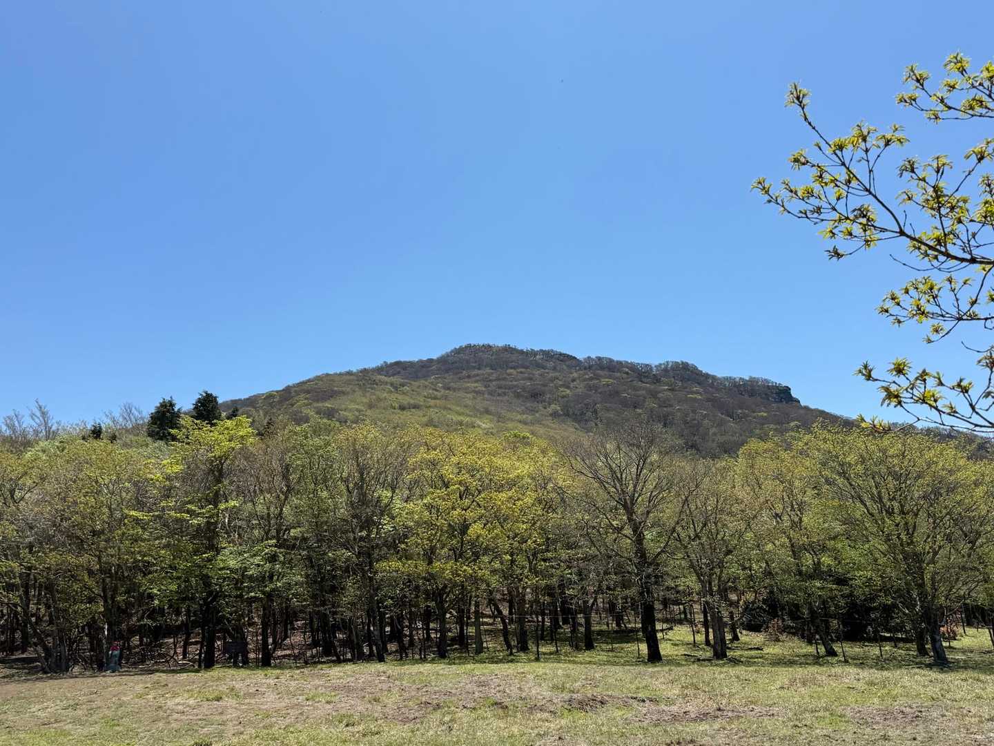 国観峠から祖母山