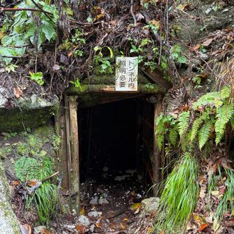 雨が降っている時はトンネル内は水たまりが大きくなっています
この日は10㌢くらいの水たまりが続いていました
靴にスーパー袋を履いて歩きましたが、それでも少し濡れてしまいました
ヘッドライトは必須です！