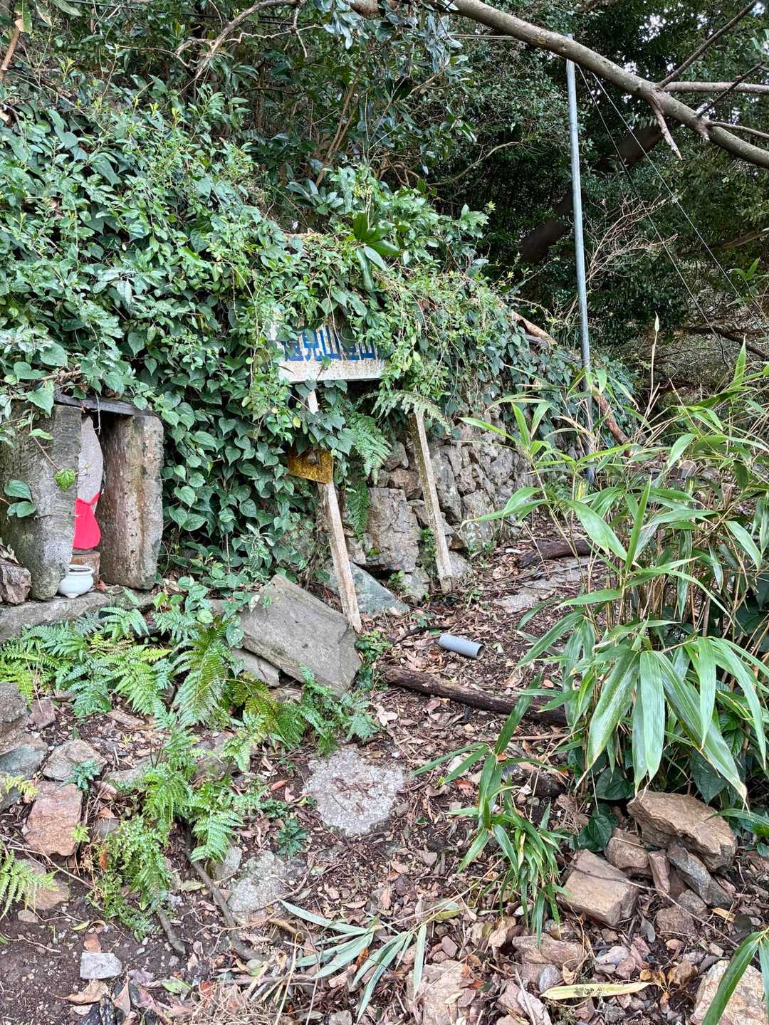 草が被さっていて見落としていた看板