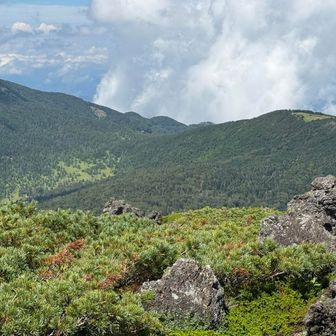 右側がさっきの双子山