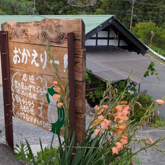 よく会う常連さん、お久しぶりの常連さん
目的持ってトレーニングに勤しむ姿に励まされた
涼しくなったら竜頭山へ行こう
目的たくさん粟ヶ岳🍵