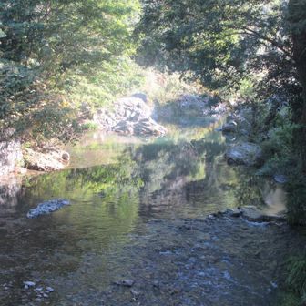 いつも撮影してしまう南浅川　
