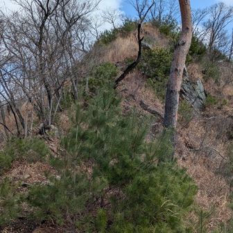 孫仙人ヶ岳から見た次に向かう女仙人ヶ岳。
