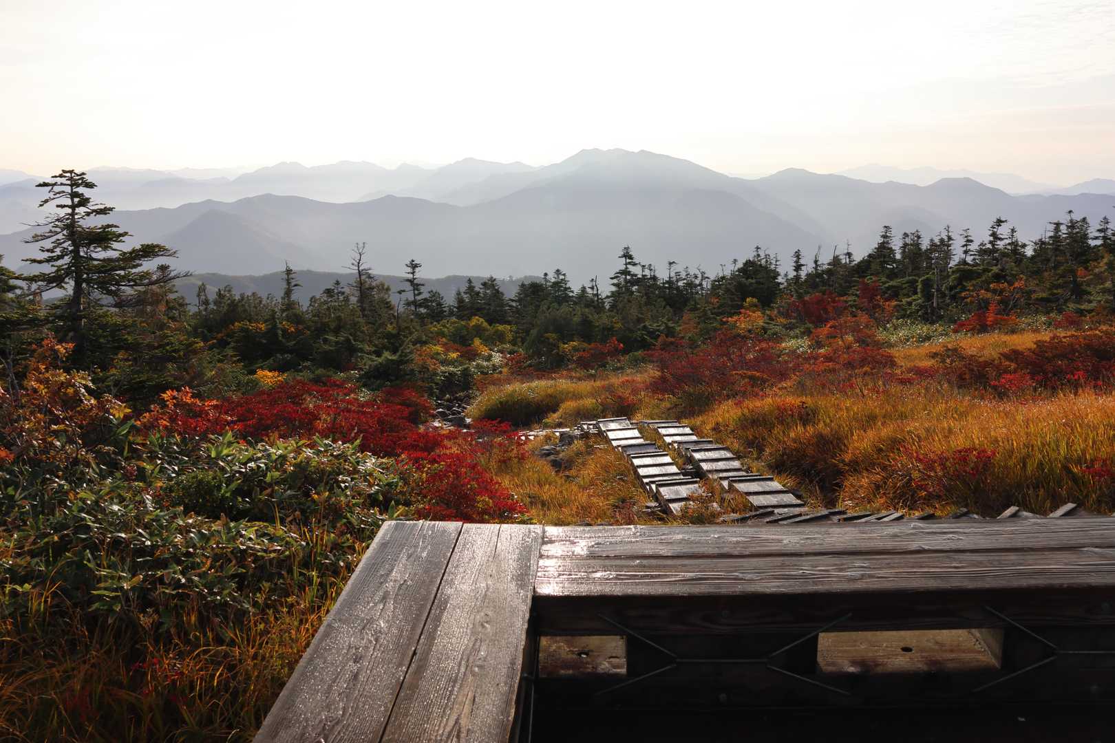 祓川登山口-山頂駅-神楽ヶ峰-苗場山 縦走コースの写真