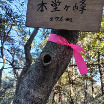 本堂が峰に到着。これで三座登頂です😀