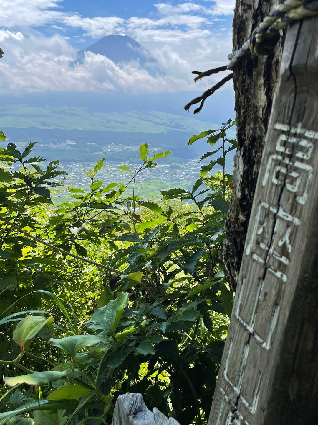 山頂
富士山🗻が見えます！